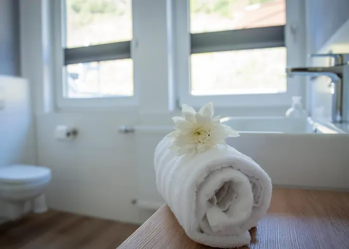 Primavera كوتشيم